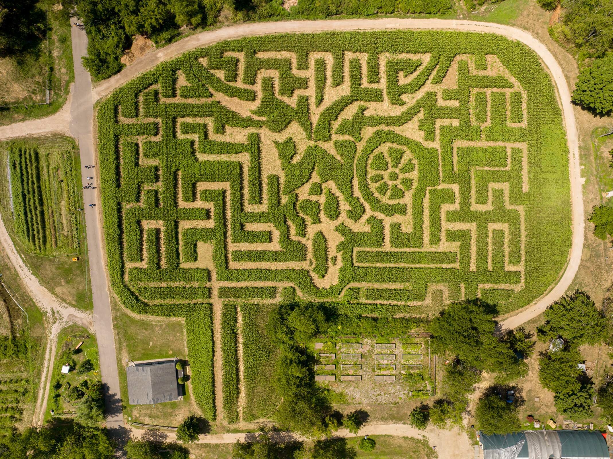 See if you can make it out of this artful three-acre corn maze in Queens