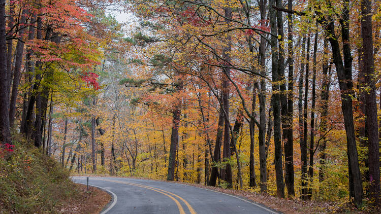 Ozark National Forest, AR