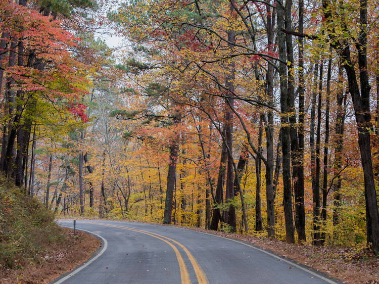 Ozark National Forest, AR