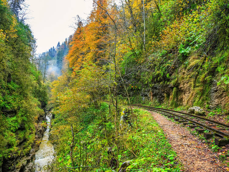 Okanogan-Wenatchee National Forest, WA