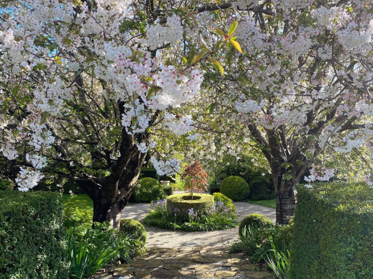 The Garden at Broughton Hall