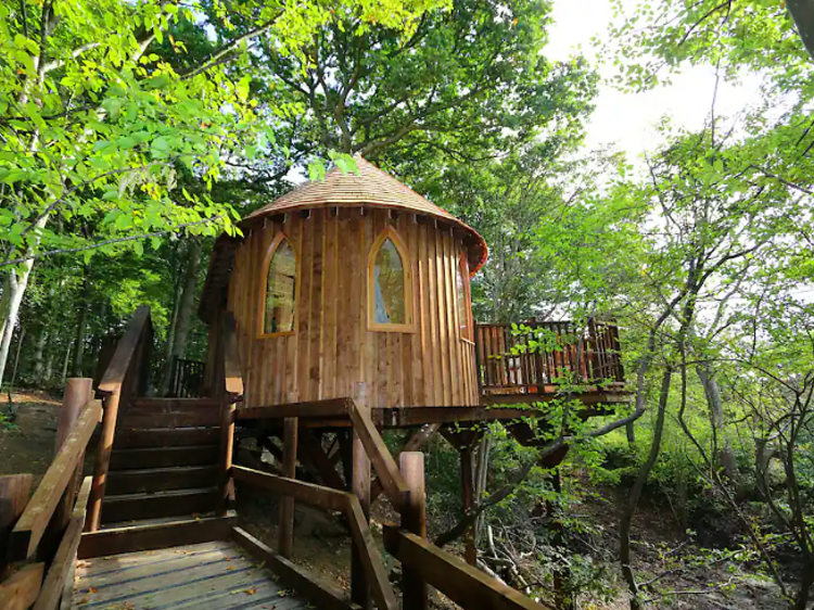 The treehouse one in the woods of Mayfield