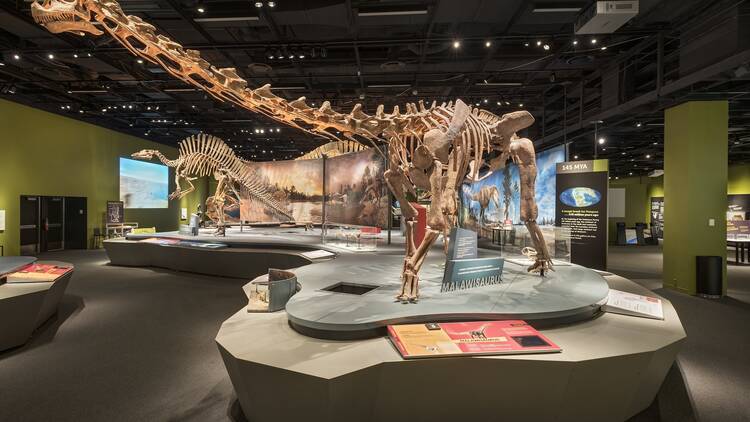 ultimate dinosaurs exhibit