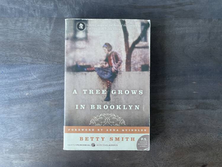 'A Tree Grows in Brooklyn' by Betty Smith