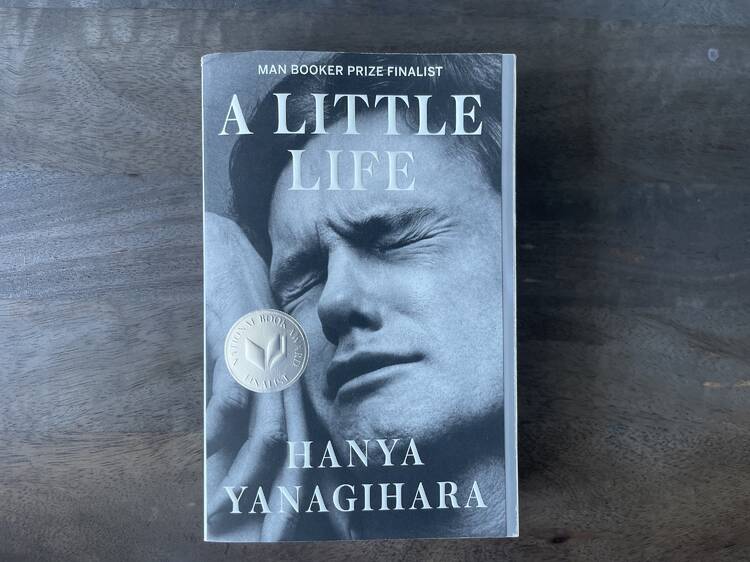 'A Little Life' by Hanya Yanagihara