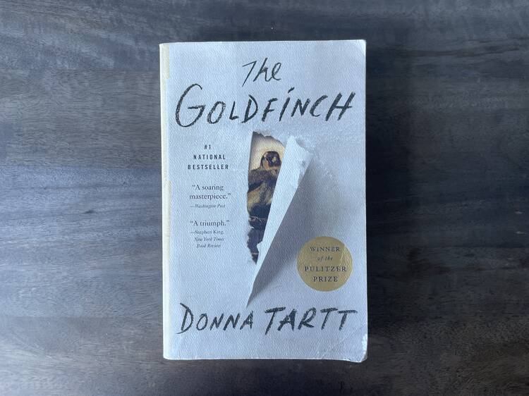 Whimsical Adventures with Funny Donna Tartt