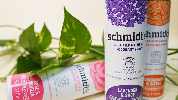 A close-up of three aerosol deodorant cans placed next to some leafy greenery.