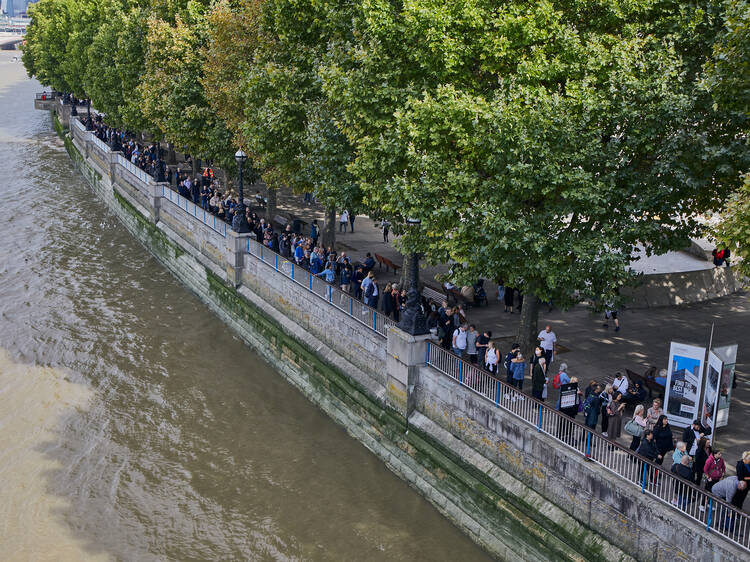 Queue to see the Queen lying in state