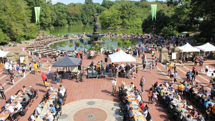 Dozens of people play chess in Central Park.