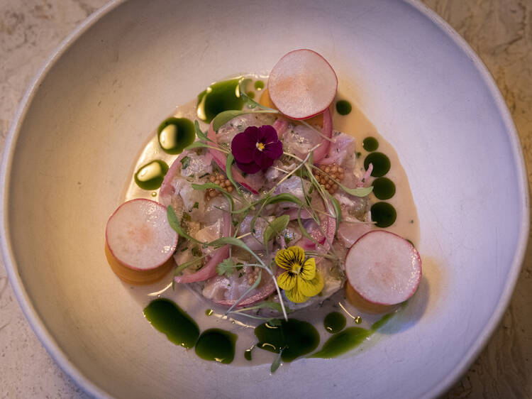 Ceviche de corvina – Oitto