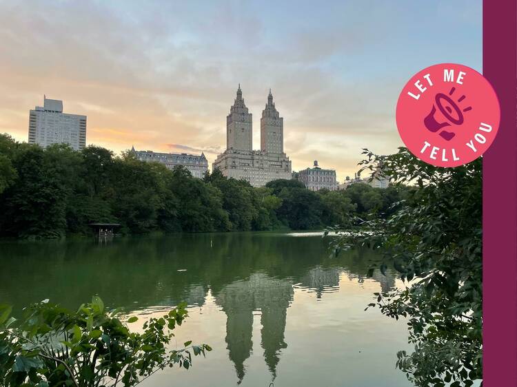 Let me tell you—take a walk to discover the best of NYC