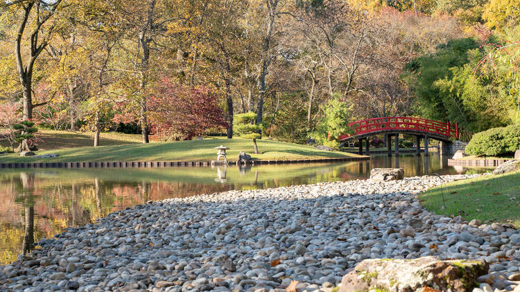 Memphis Botanic Garden