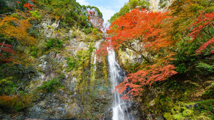 Minoo Falls, Osaka