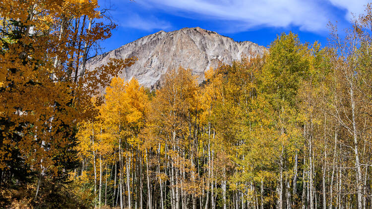 Kebler Pass | Crested Butte, CO