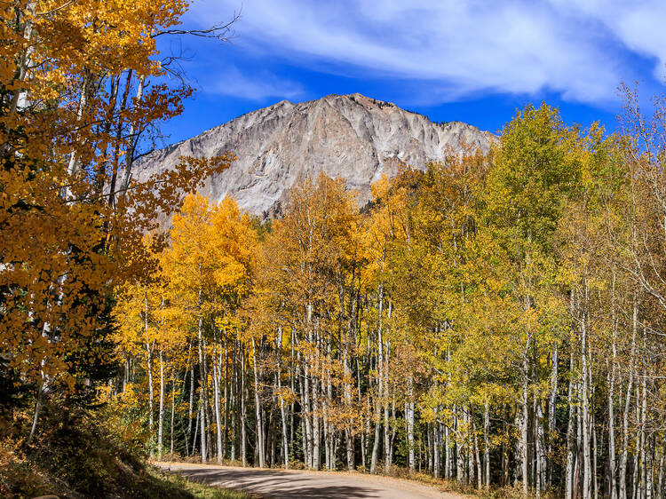 Kebler Pass | Crested Butte, CO