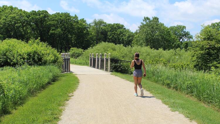 Middlefork Savanna Trail | Lake Forst, IL