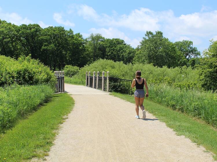 Middlefork Savanna Trail | Lake Forst, IL