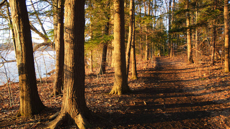 Long Point State Park | Aurora, NY