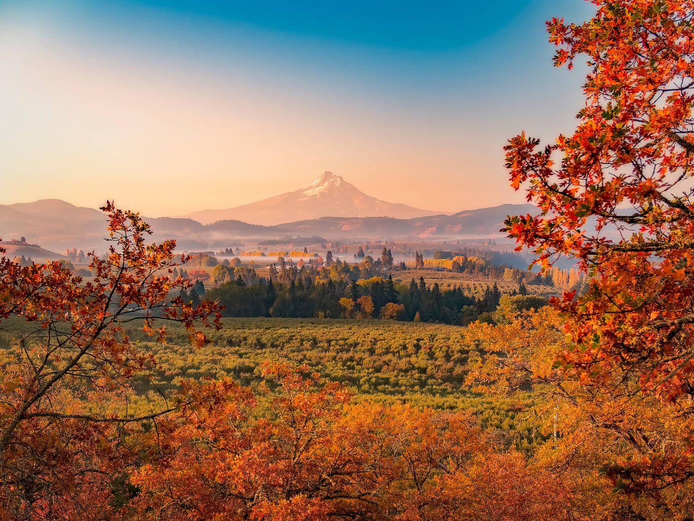 These Are the Best Fall Foliage Train Rides in the U.S.