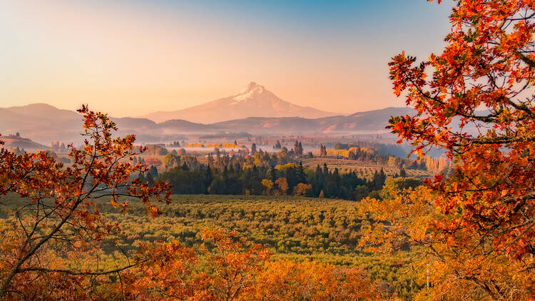 Mt. Hood Railroad | Hood River, OR