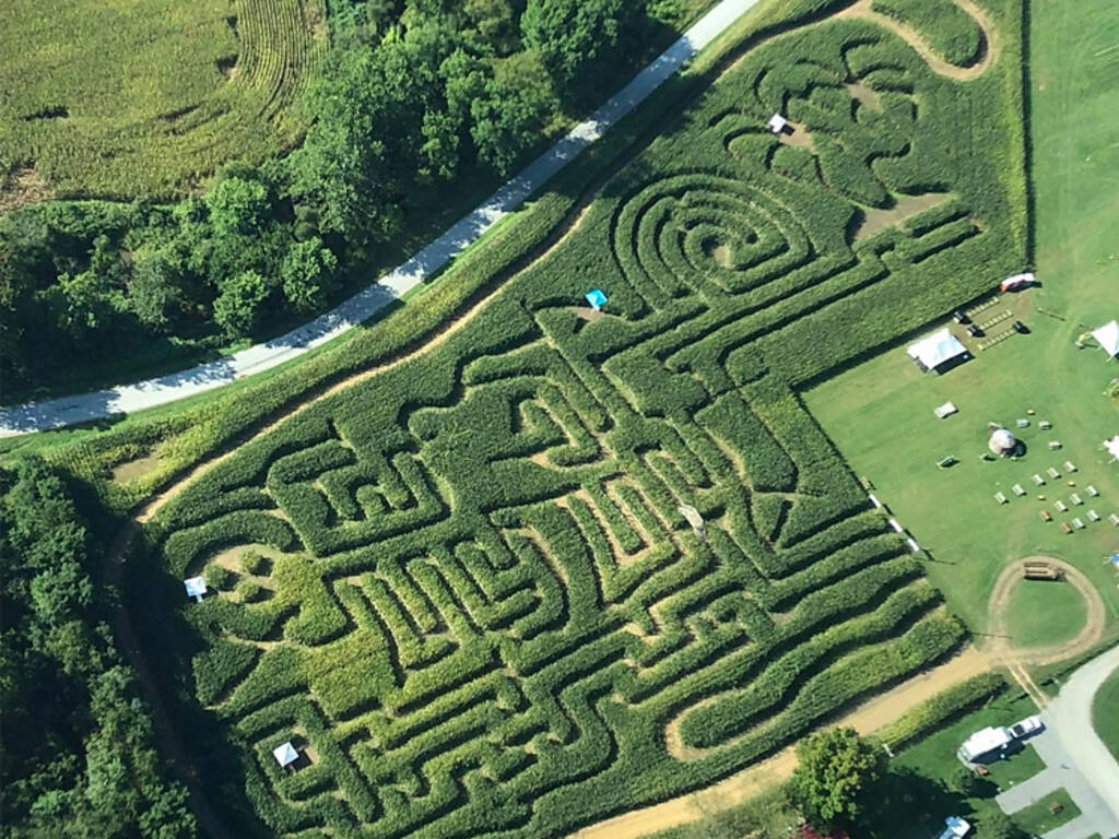 16 Biggest and Best Corn Mazes in the US to Get Lost In