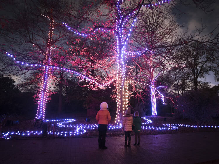 211118 Christmas at Kew