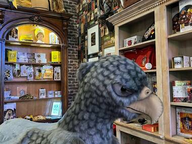 The Store of Requirement The Store of Requirement