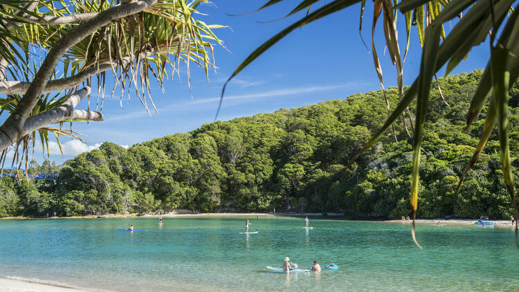 Tallebudgera Creek