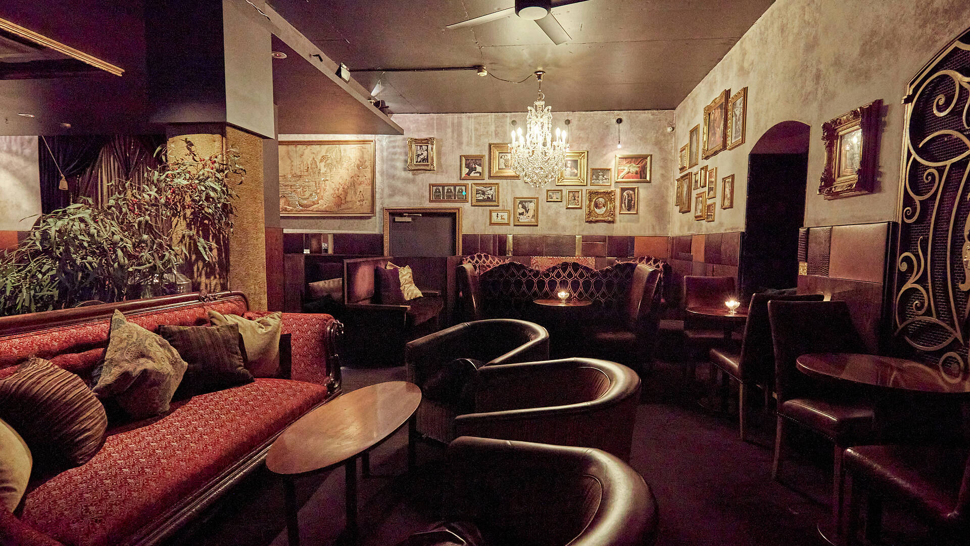 Gin Palace Cocktail bar in the CBD