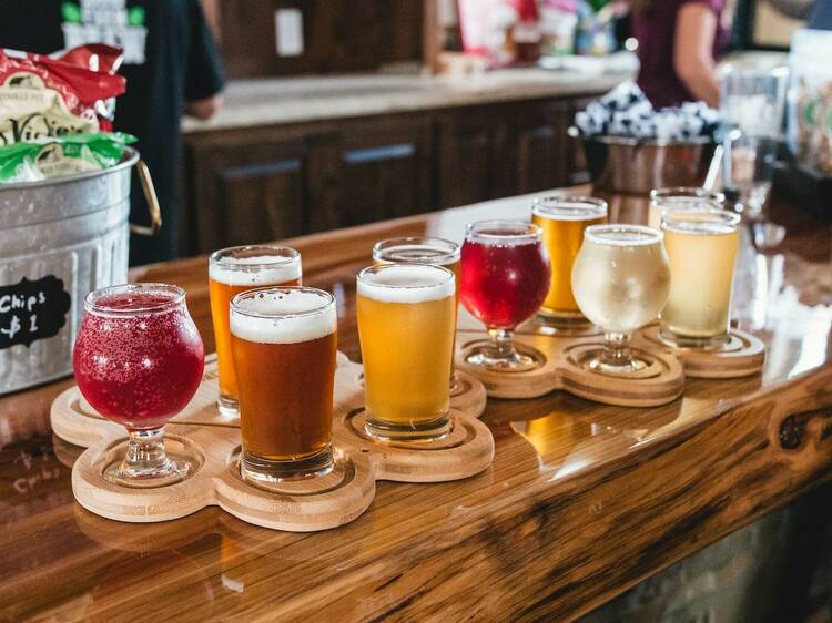 Go on a bar crawl