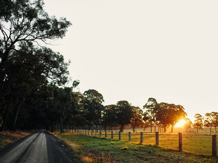 Melbourne Food and Wine Festival is going regional again this summer