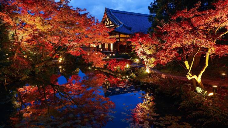 Kurodani Temple