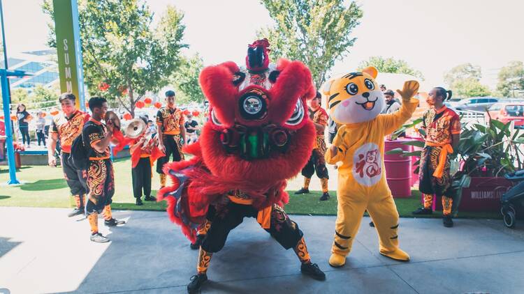 Traditional lion dancers performing outside.
