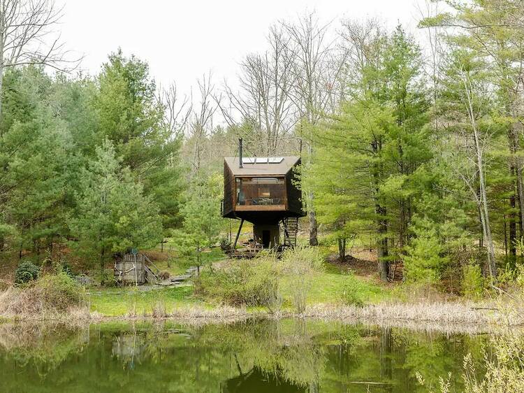 11 Best Airbnb Treehouses in the U.S. for 2023 Unique U.S.Treetop Stays