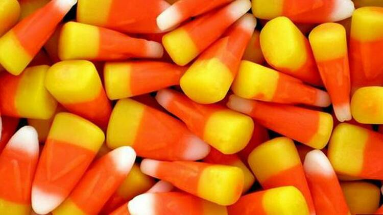 candy corn