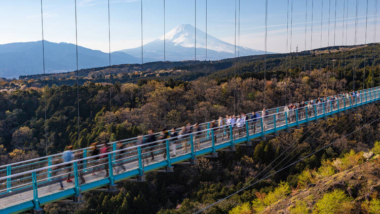 Mishima Skywalk