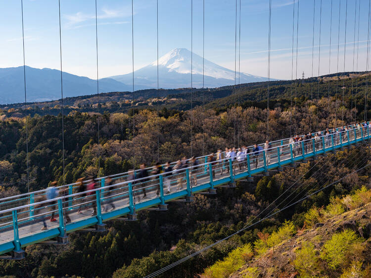 Mishima Skywalk