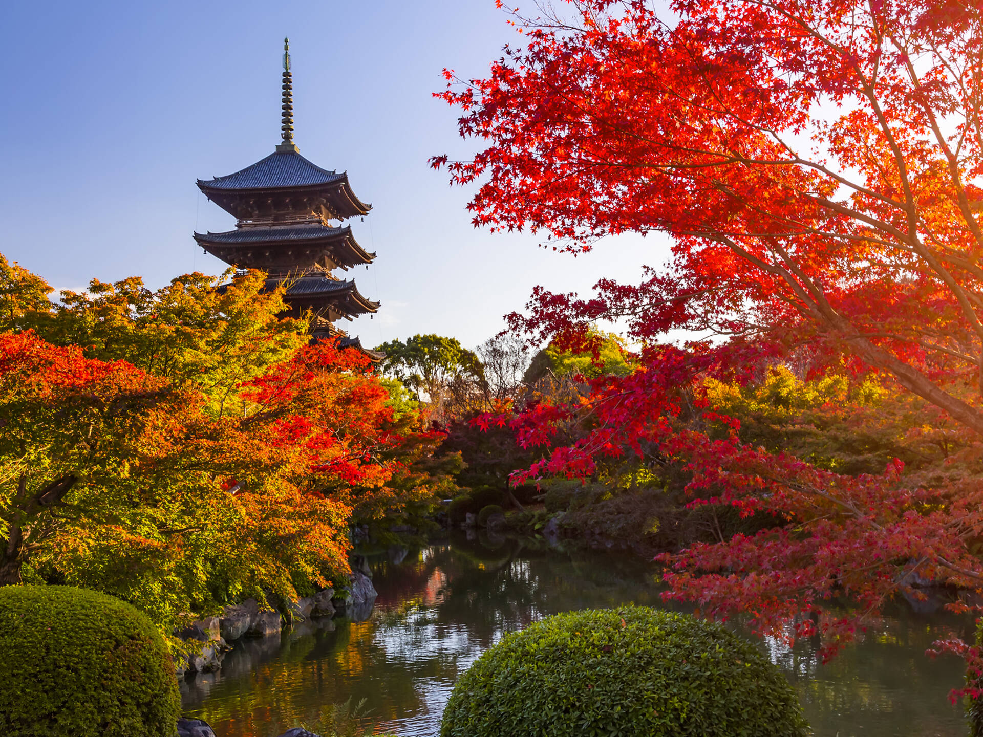 Where to see the autumn leaves in Tokyo