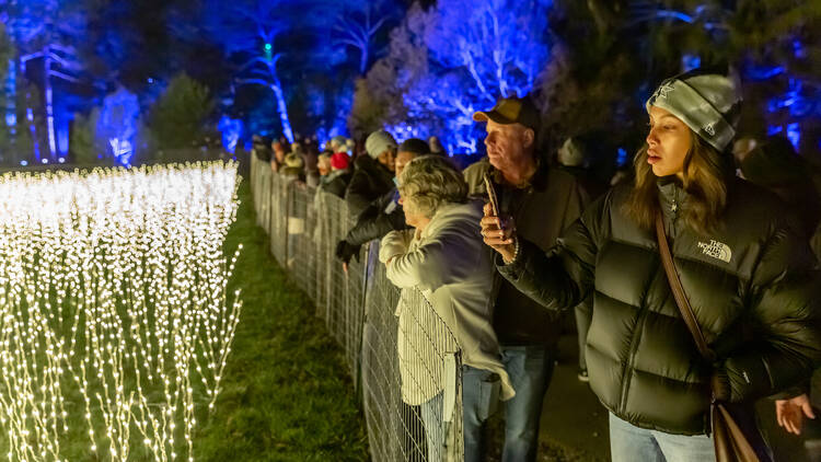 A woman in a black puffer jacket takes a photo of a light-up display beyond a fence