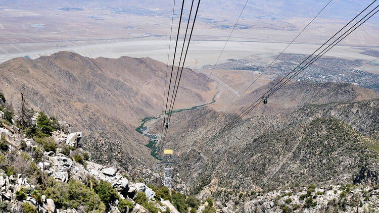 Take a ride aboard the Palm Springs Aerial Tramway