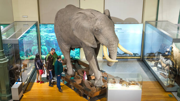 Museo Nacional de Ciencias Naturales Museo Nacional de Ciencias Naturales