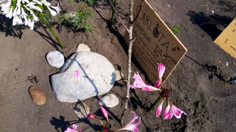 Cementerio Ameyalco: Jardín para un amigo.