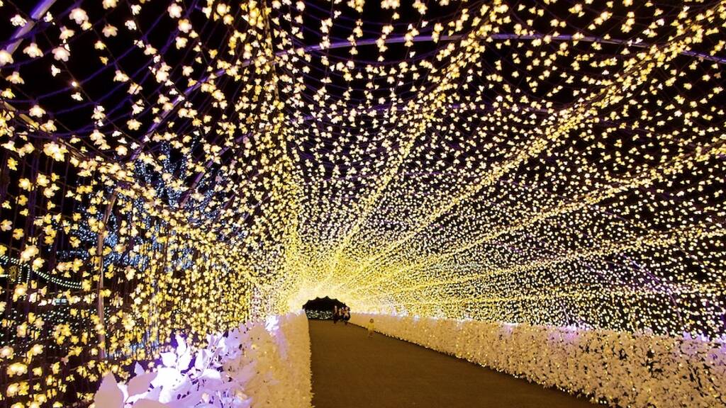 Tokyo Mega Illumination | Things to do in Tokyo