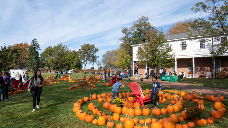 Pumpkin Point