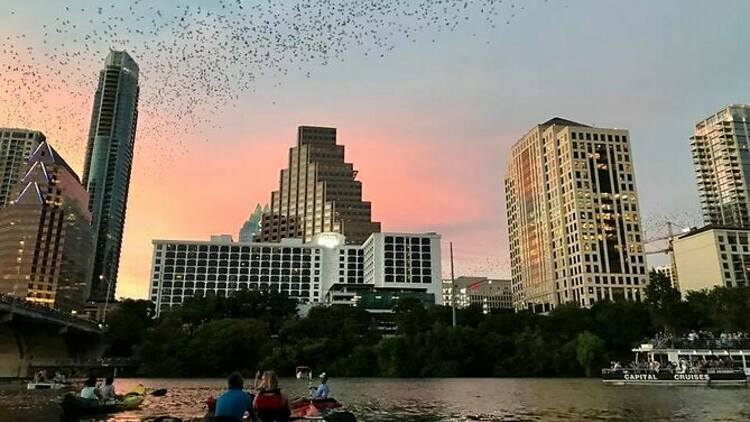 kayak congress ave bridge austin