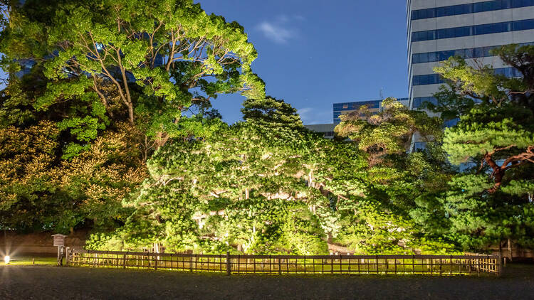 Hamarikyu Gardens