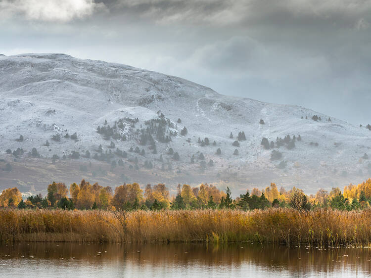 Meall a’Bhuachaille, Cairngorms