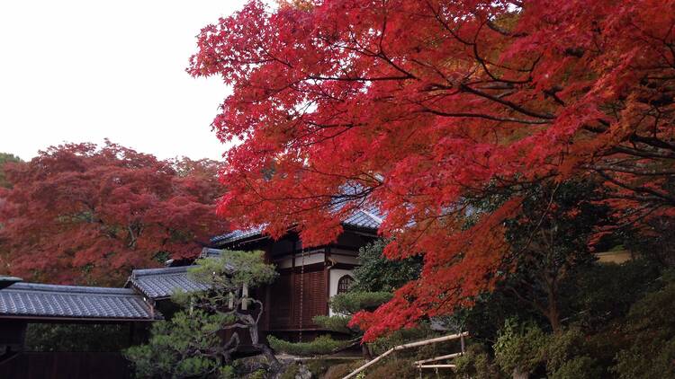 Reikanji Temple