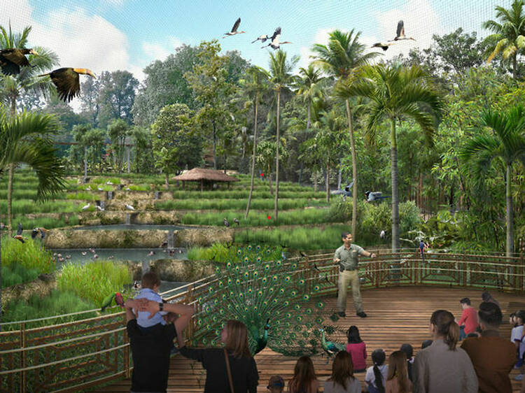 Bird Paradise to take flight in 2023 – look forward to over 400 types of birds in the new park