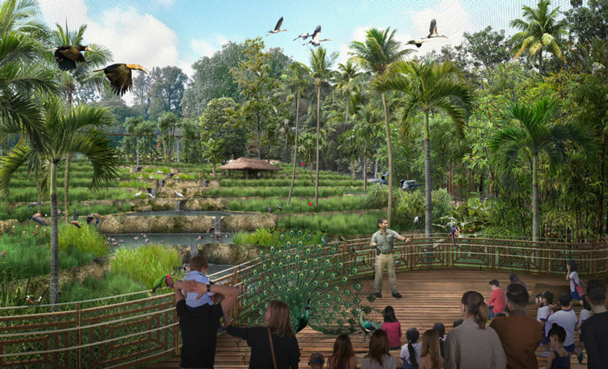 Bird Paradise to take flight in 2023 – look forward to over 400 types of birds in the new park